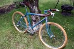 MountainGoat_Campa1