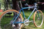 MountainGoat_Campa4