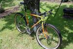 MountainGoat_1
