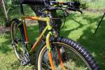 MountainGoat_5