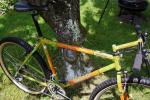 MountainGoat_10