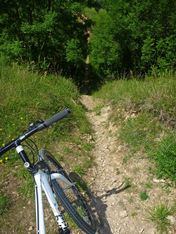 P1000783_edited-1