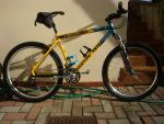 '94 Yeti ARC