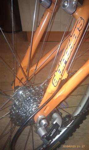 IMAG0391 (Small)