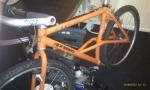IMAG0366 (Small)