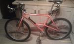 IMAG0385 (Small)