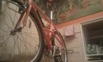 IMAG0387 (Small)