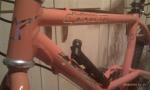 IMAG0388 (Small)