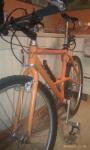 IMAG0390 (Small)