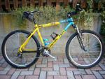 '94 Yeti ARC 2x