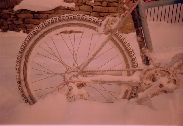 image8