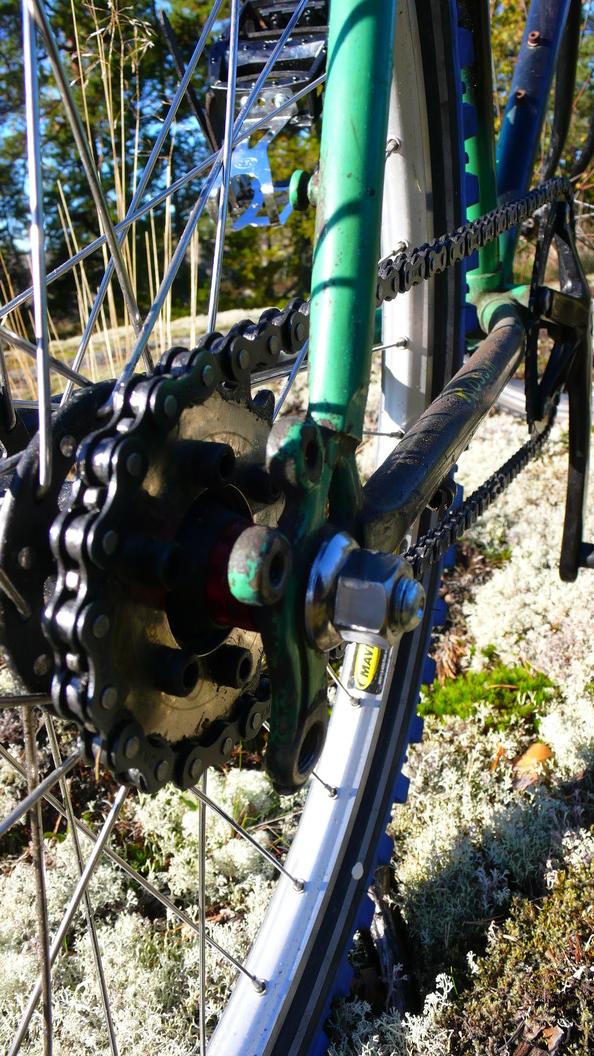 Fixed Gear. XT disc Hub. 41*19