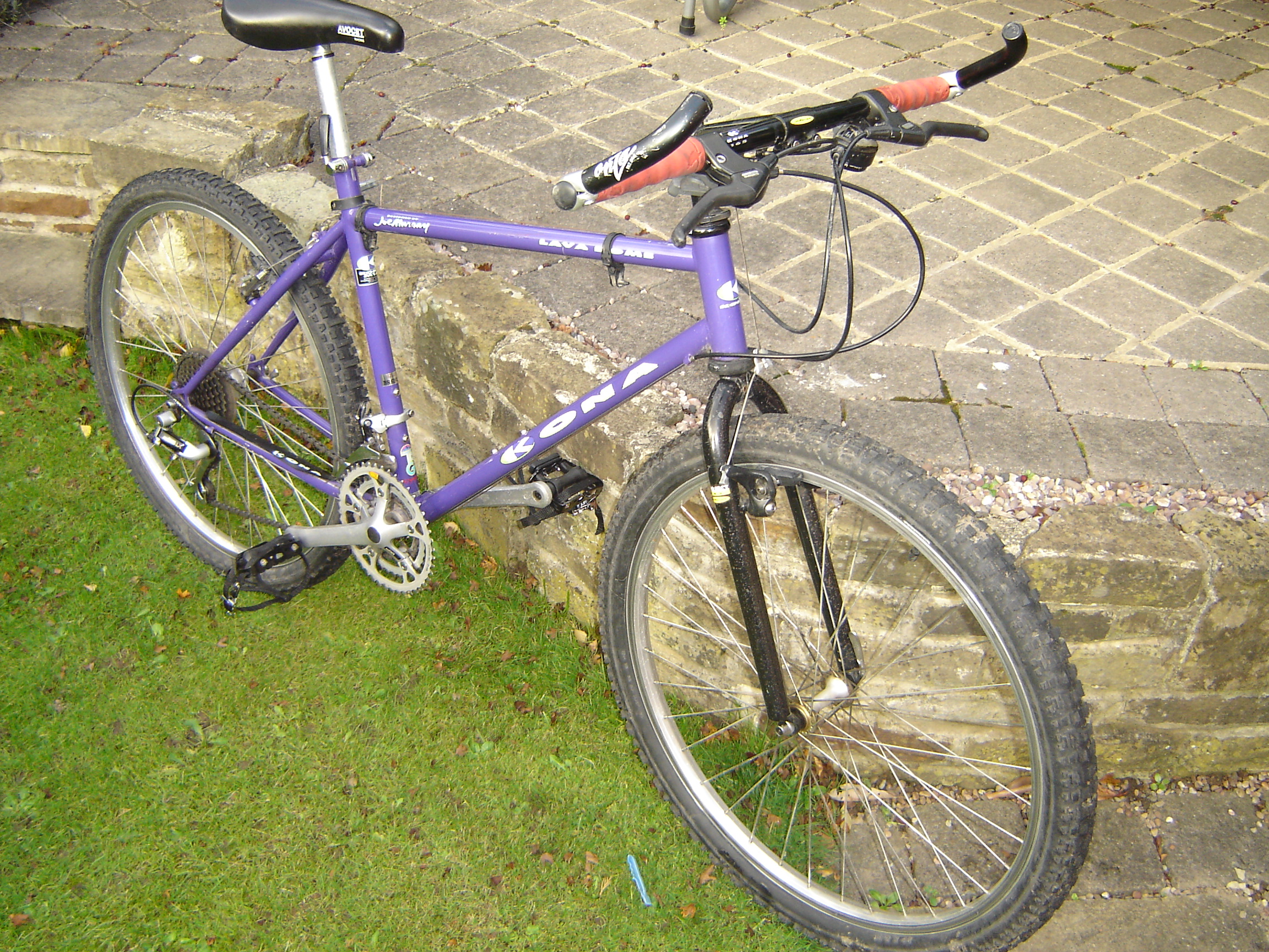 2010_10310048