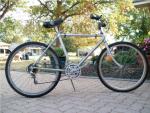 1983 araya muddy fox