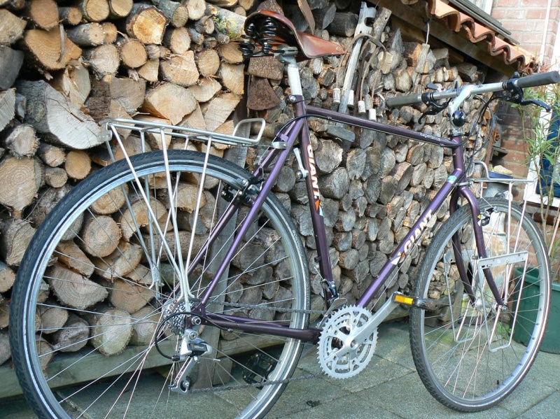 Giant Expedition 1990