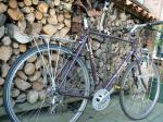 Giant Expedition 1990