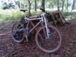 ProFlex at Great Wishford 2