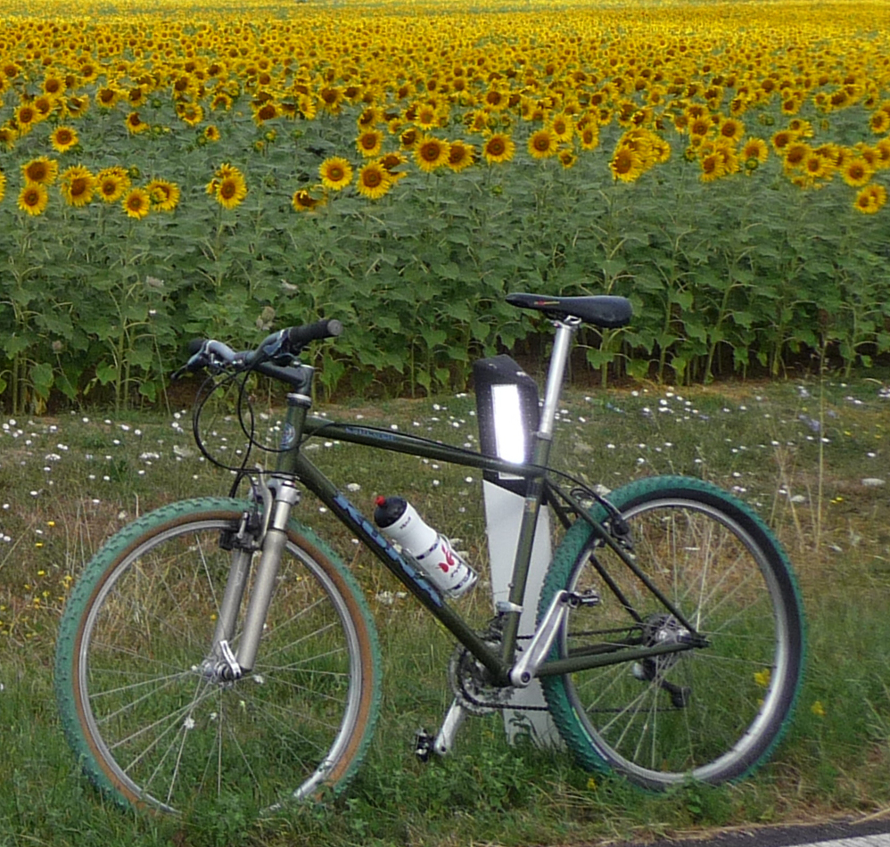 P1000898_edited-1