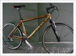2001(Aztec gold)