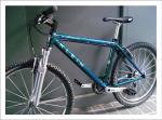2002(caribbean-reef)