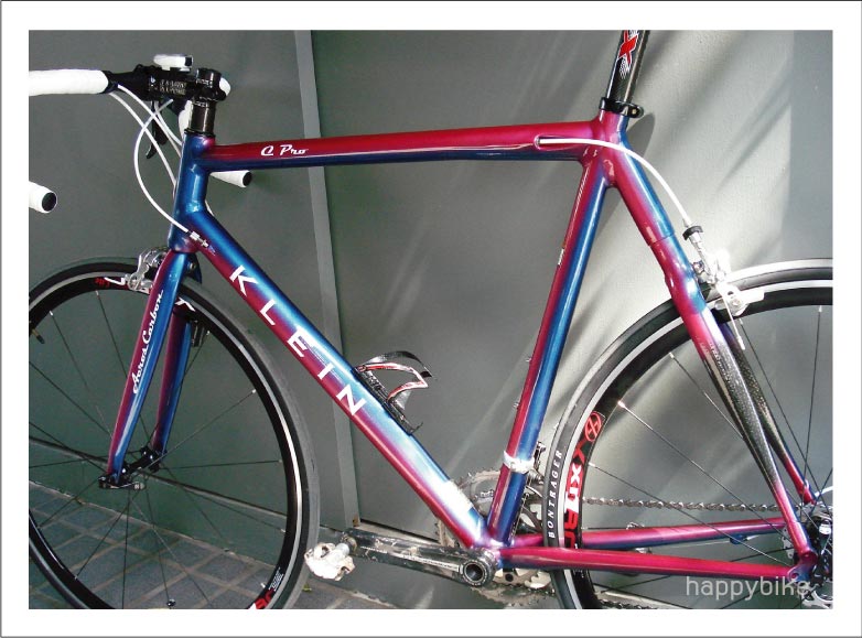 2003 Qpro(Blazing Lupine)
