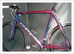 2003 Qpro(Blazing Lupine)