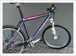 2005(Blazzing Lupine)