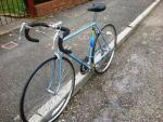 raleigh 1