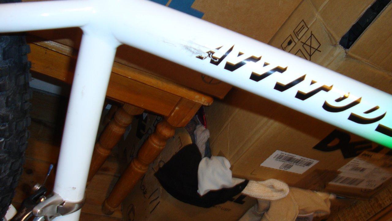 DSC00704