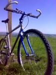 1994 Marin Muirwoods