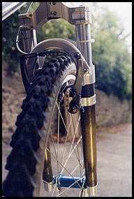 1995 GT Zaskar LE
