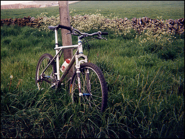 1995 GT Zaskar LE