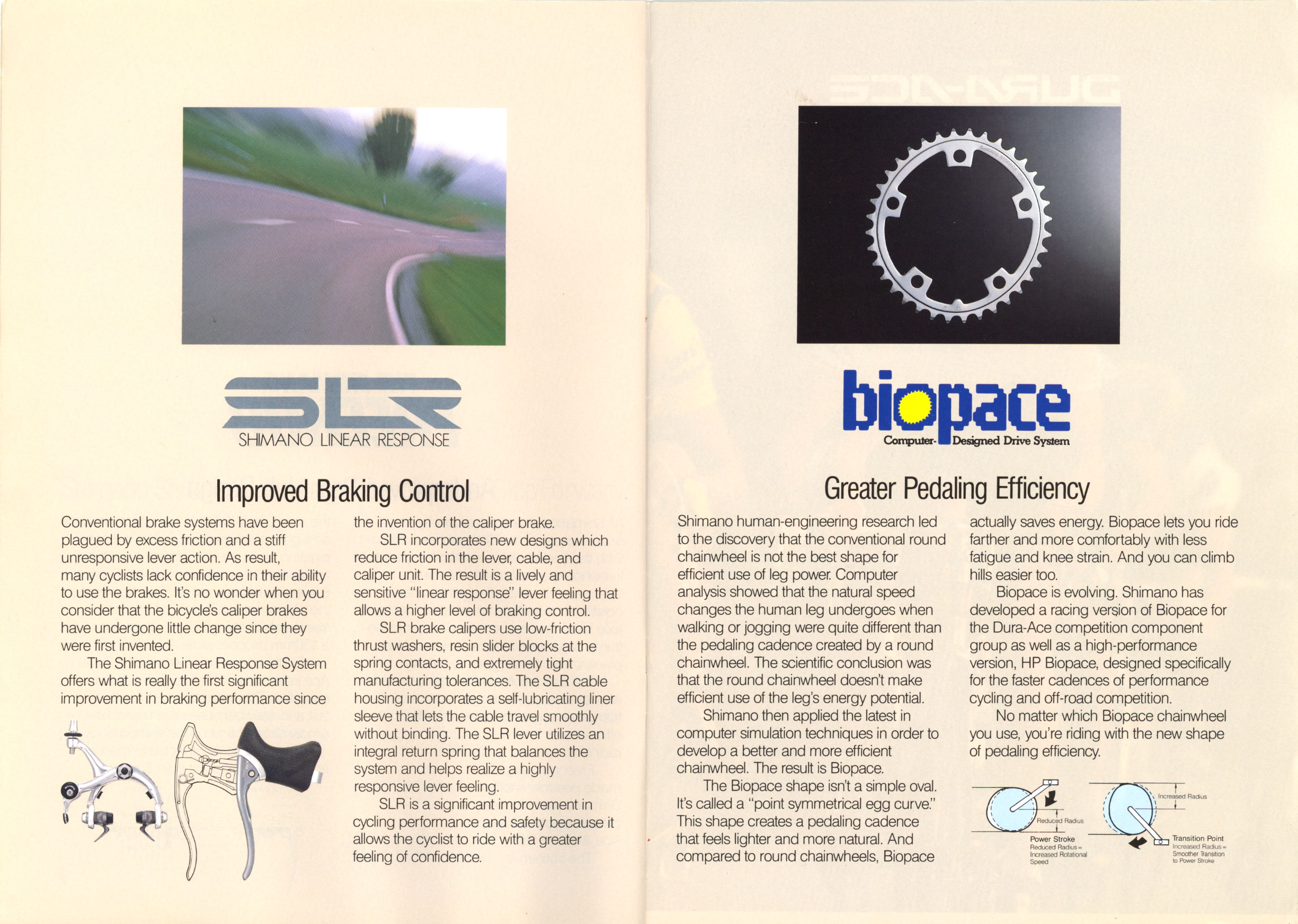 Pages 5 & 6