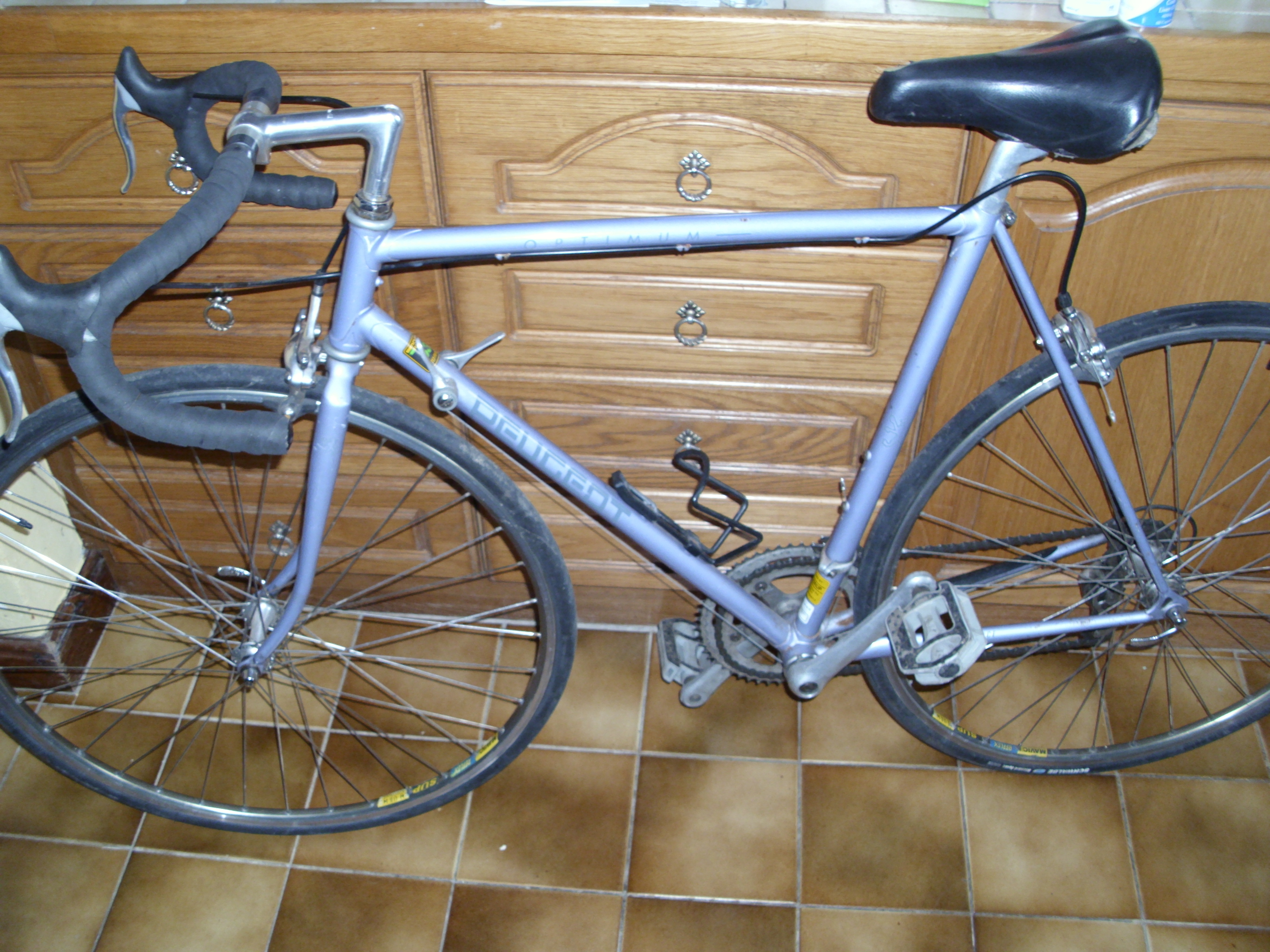 DSCI0766