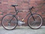 1988 Haro Team Extreme
