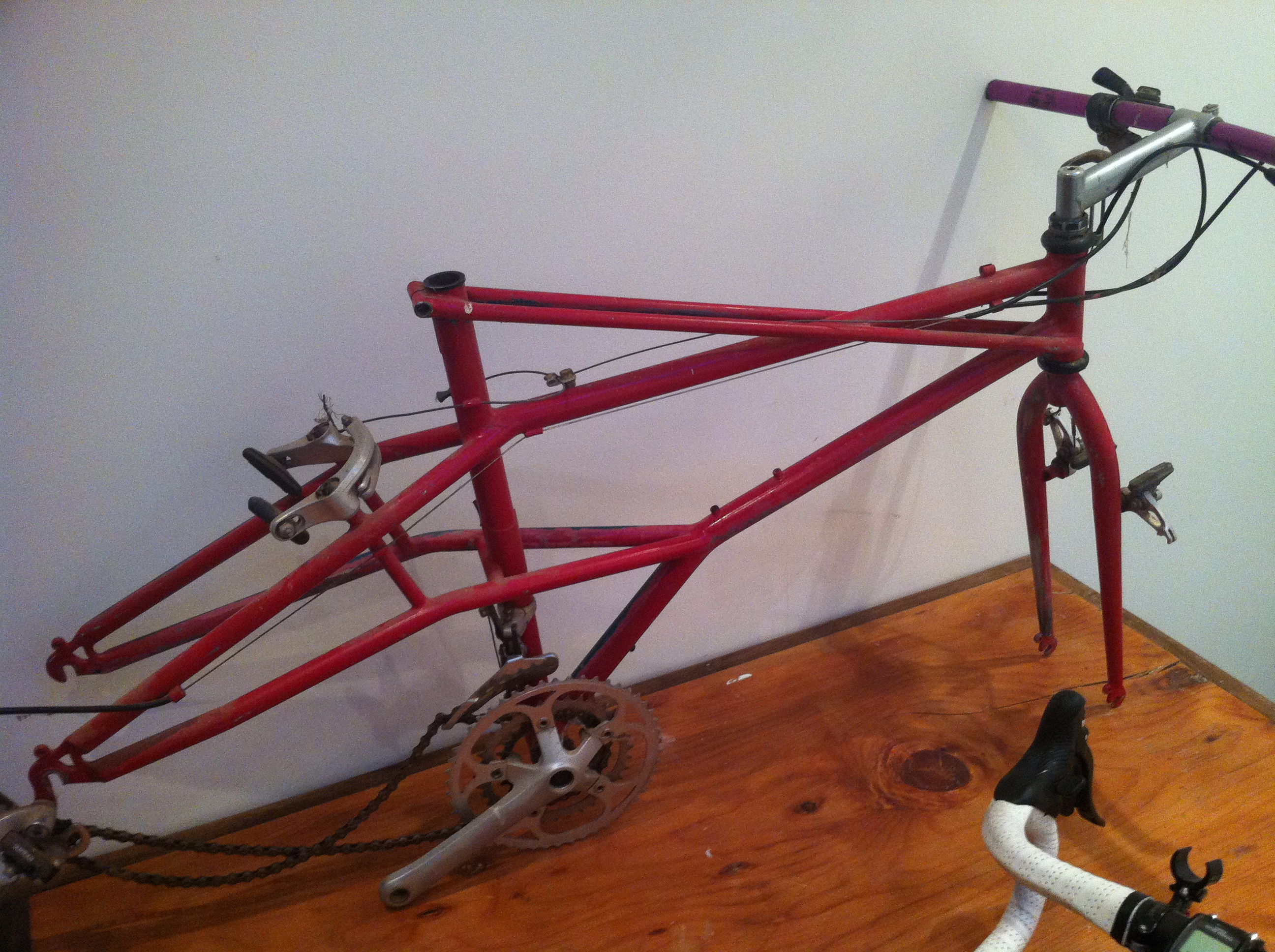 photo (2)